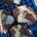 贵州黄牛肉批发，一斤也是批发黄膘，全国各发货，每天现屠宰