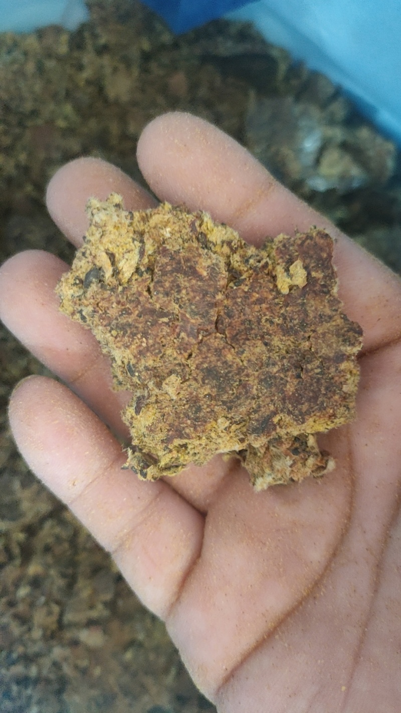 棉籽饼牛羊饲料育肥专用新疆棉籽饼好饲料