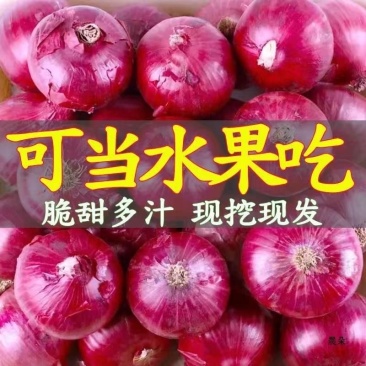 云南水果洋葱支持全网一键代发