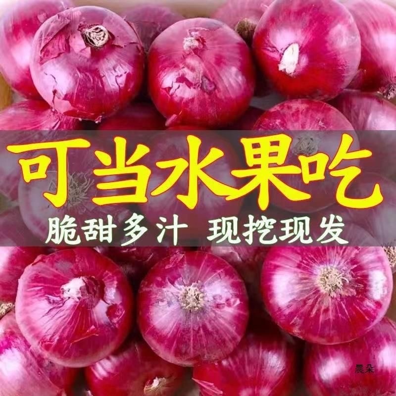 云南水果洋葱支持全网一键代发