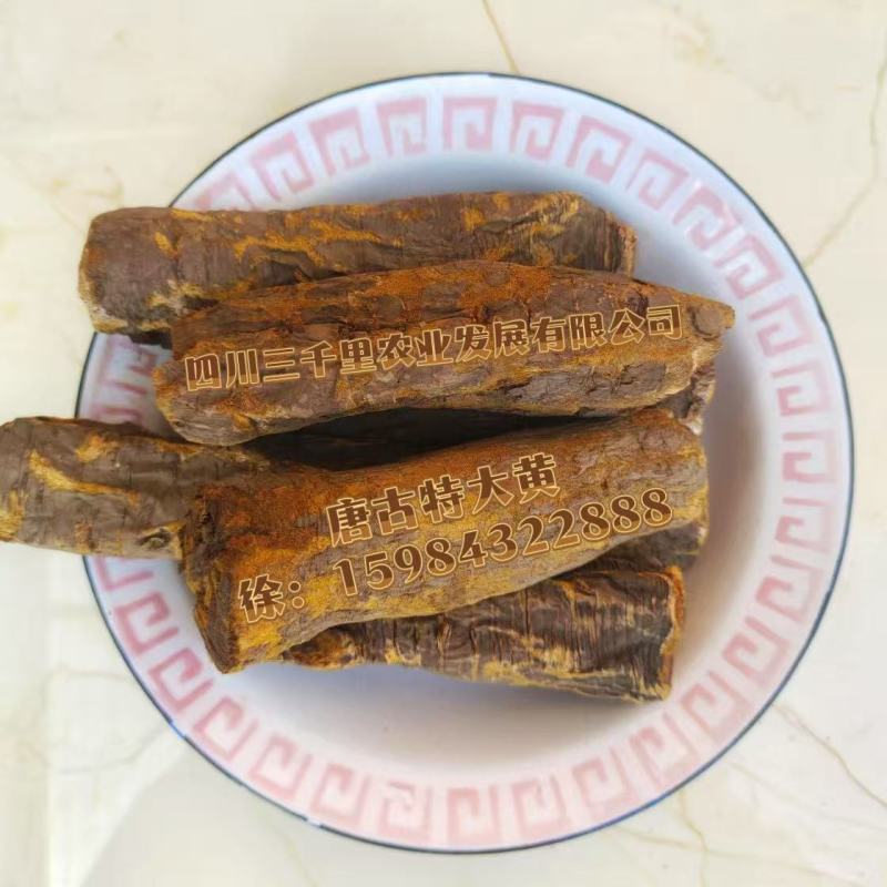 唐古特大黄