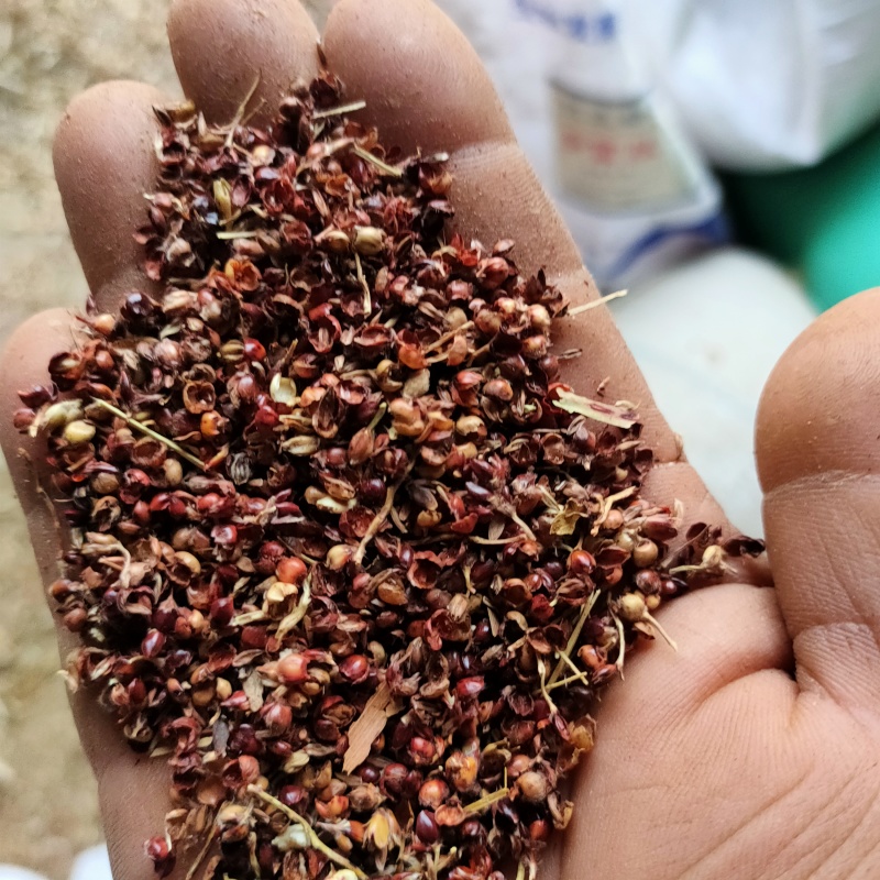 高粱壳做枕头香包做醋高粱壳枕头香包