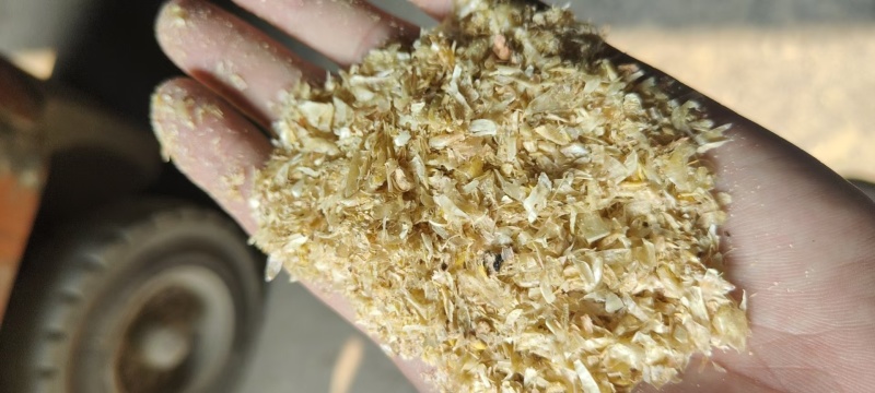 玉米大白皮牛羊饲料养殖好饲料物美价廉