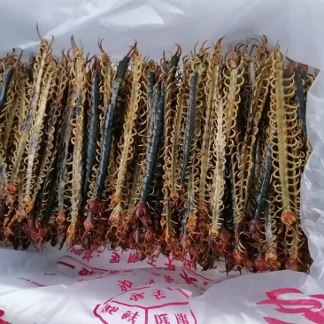 精品蜈蚣皮厂价直销
