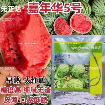 先正达嘉年华5号西瓜种子早熟糖度高大红瓤皮薄酥脆麒麟西瓜