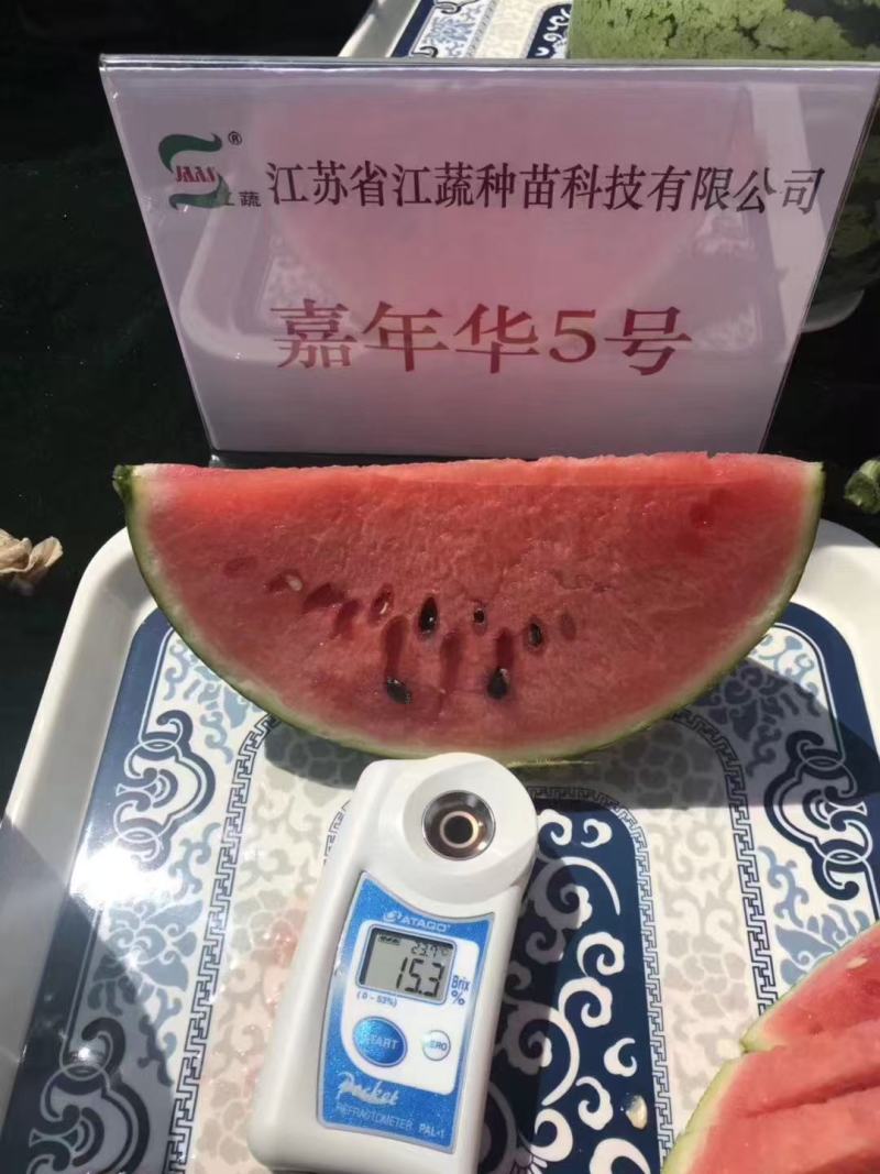 先正达嘉年华5号西瓜种子早熟糖度高大红瓤皮薄酥脆麒麟西瓜