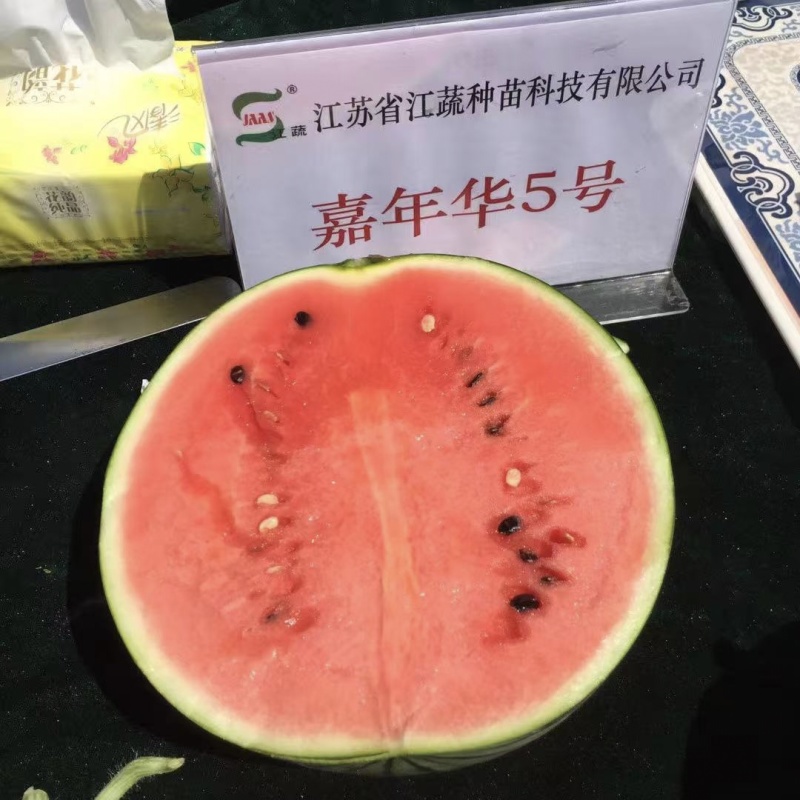 先正达嘉年华5号西瓜种子早熟糖度高大红瓤皮薄酥脆麒麟西瓜