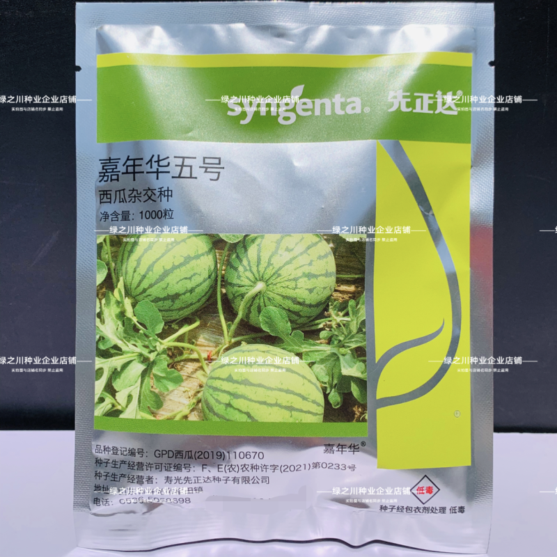 先正达嘉年华5号西瓜种子早熟糖度高大红瓤皮薄酥脆麒麟西瓜
