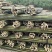 【精品】3米3.5米4米竹竿香蕉支撑杆果树苗木支撑杆