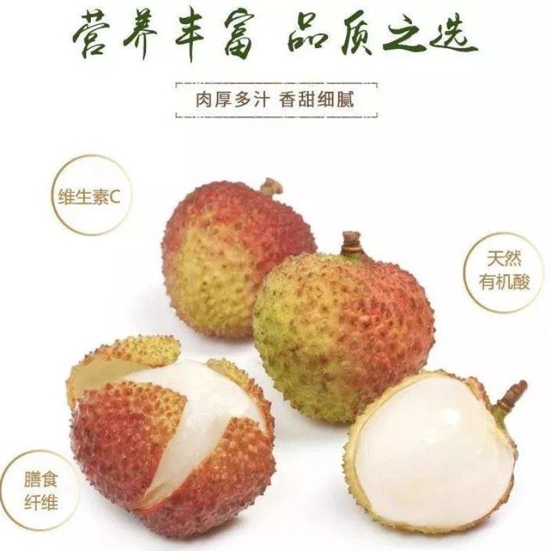 荔枝各品种齐全源头产区果园直发量大价优