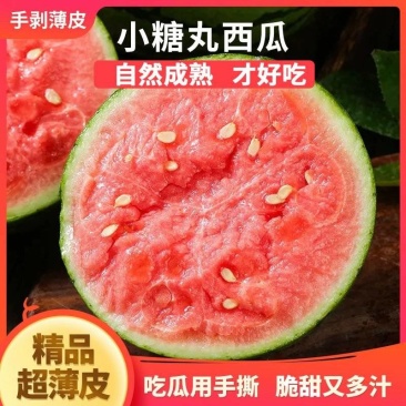 小糖丸产地直发河南西瓜小吊瓜对接全国采购商