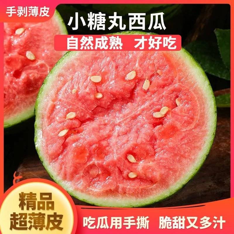 小糖丸产地直发河南西瓜小吊瓜对接全国采购商