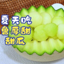 【实力】安阳鲁厚甜玫珑大量供应甜度高现摘现发品质保证
