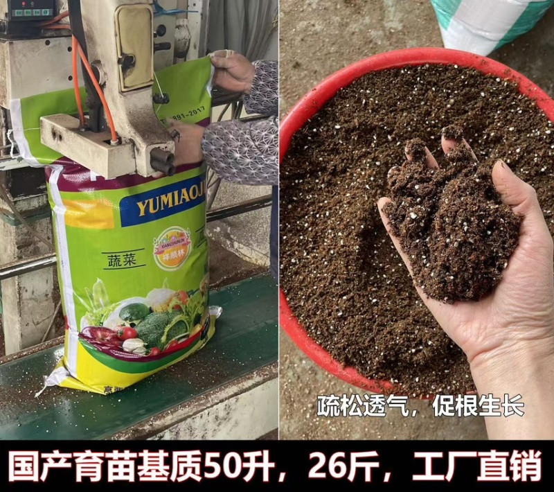 百香果播种扦插种子育苗基质