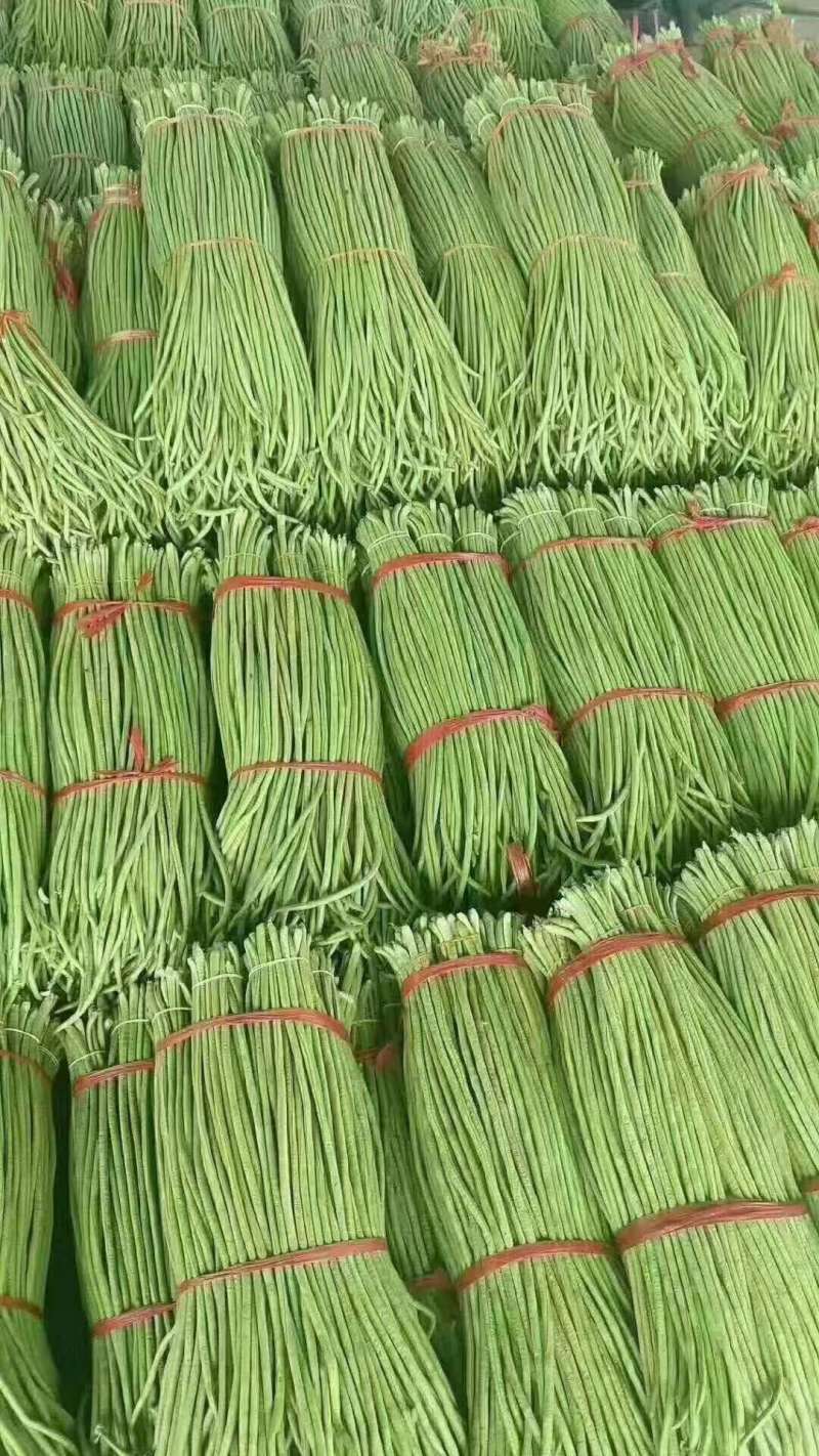 长豆角安徽长豇豆青条白条豆角一手货源商超市场加工