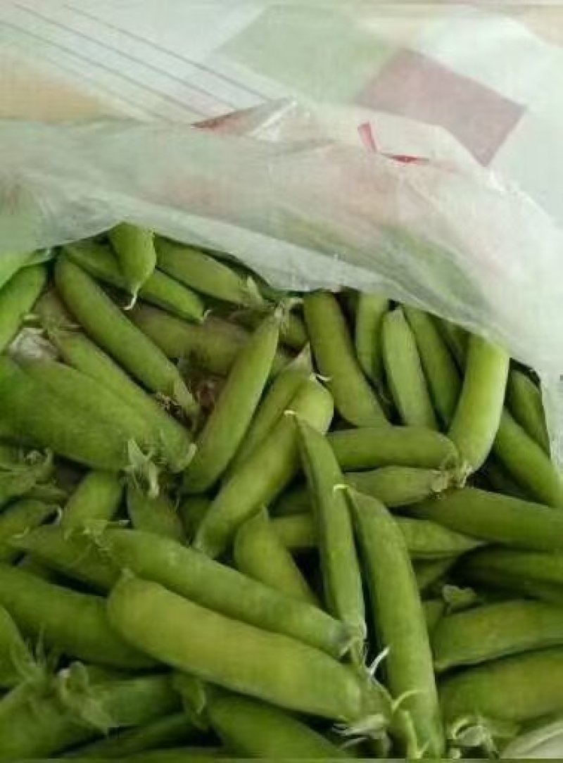 【优选】优质豌豆荚一手货源品质保证量大从优