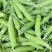 【优选】优质豌豆荚一手货源品质保证量大从优
