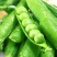 【优选】优质豌豆荚一手货源品质保证量大从优