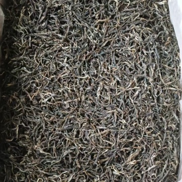 古树普洱茶，产地直销，树龄100年以上，口感回味。