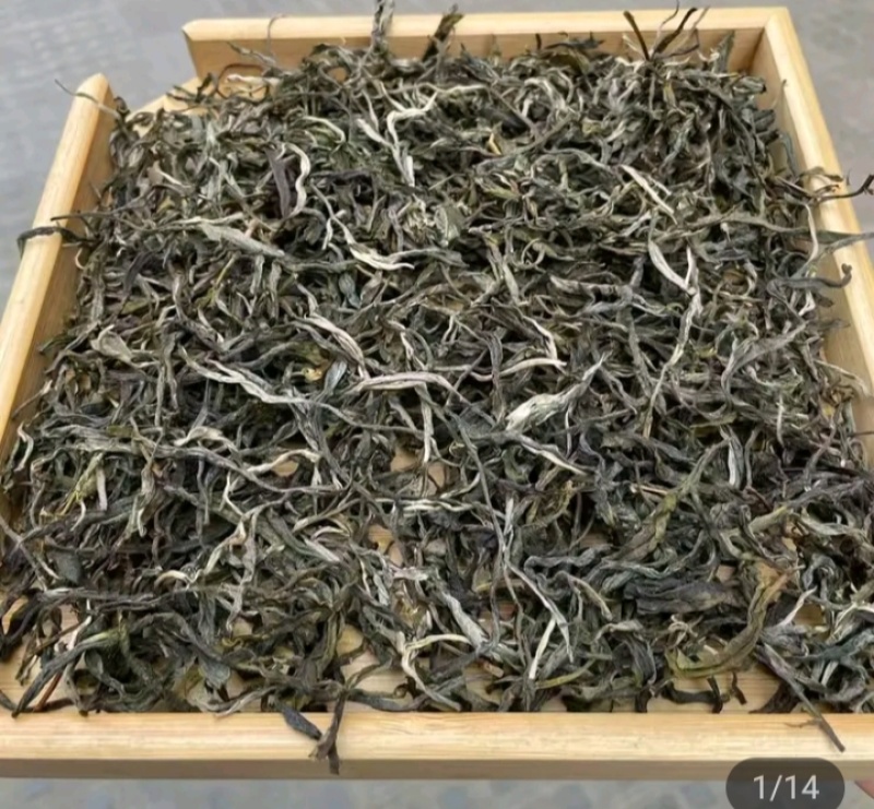 古树普洱茶，产地直销，树龄100年以上，口感回味。
