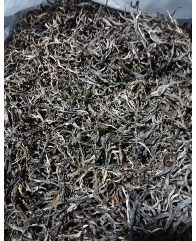 古树普洱茶，产地直销，树龄100年以上，口感回味。