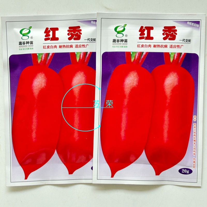 红秀萝卜种子杂交耐热抗病白肉质脆嫩品质佳适应广夏秋红皮萝