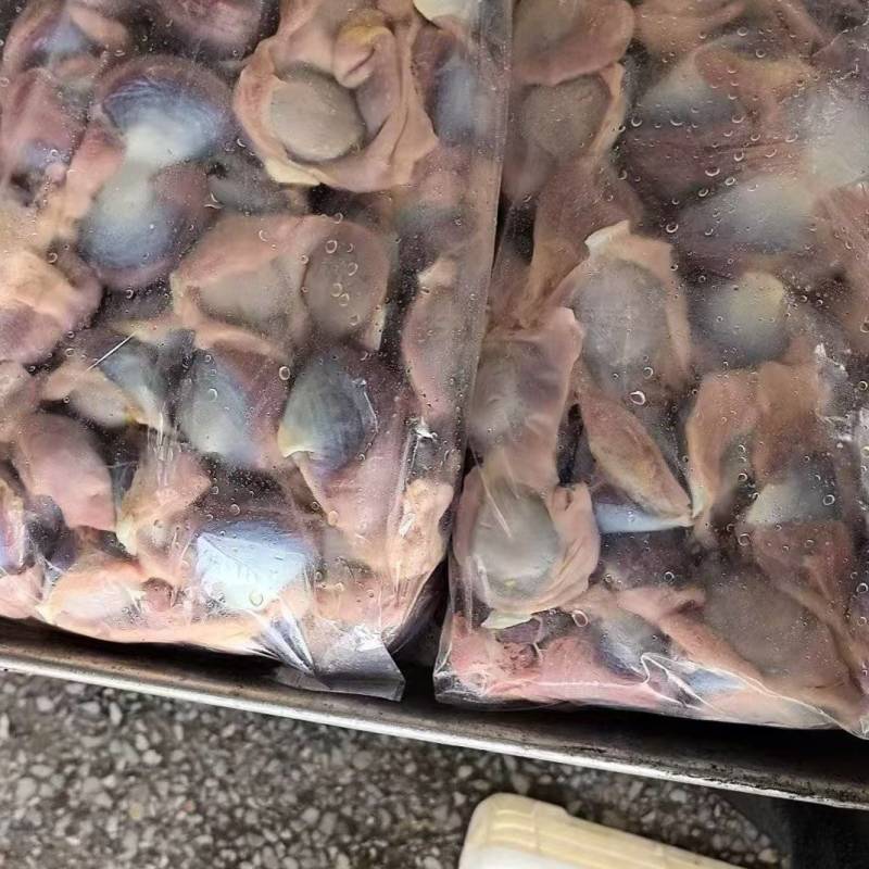 黑棕鹅肾