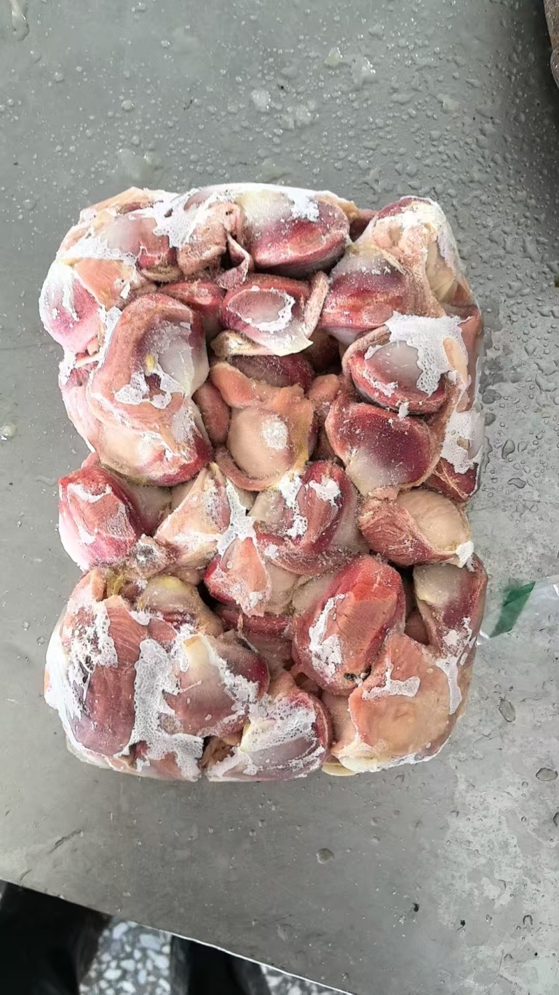 黑棕鹅肾