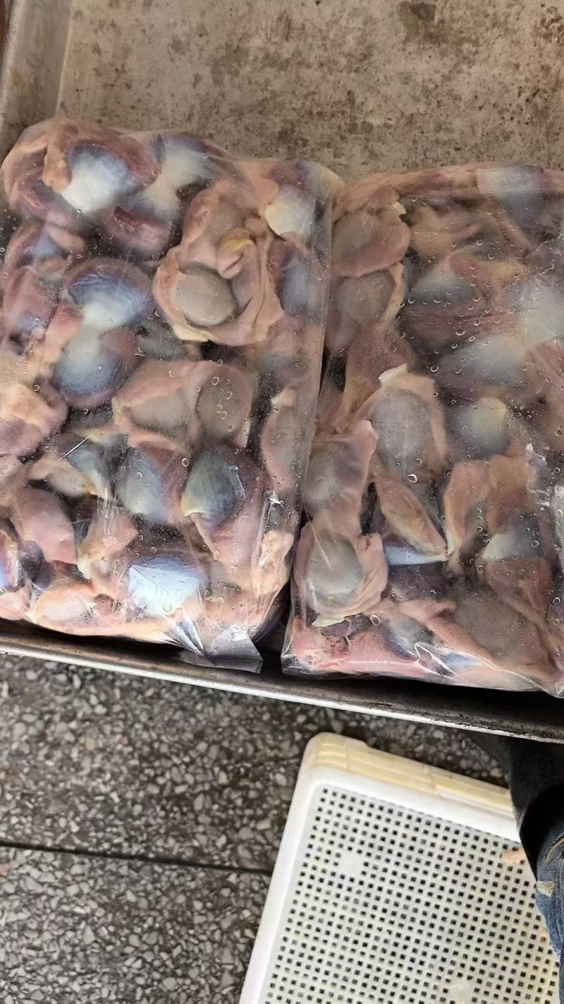 黑棕鹅肾