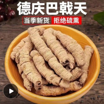 巴戟天中药材批发大货产地货源广东散装巴戟天量大