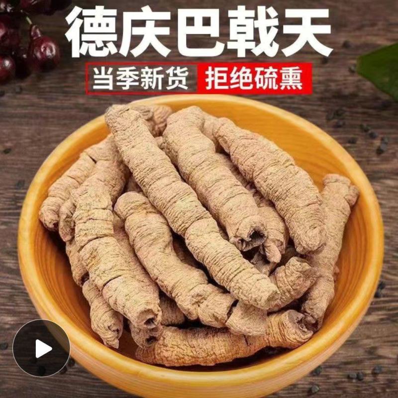 巴戟天中药材批发大货产地货源广东散装巴戟天量大
