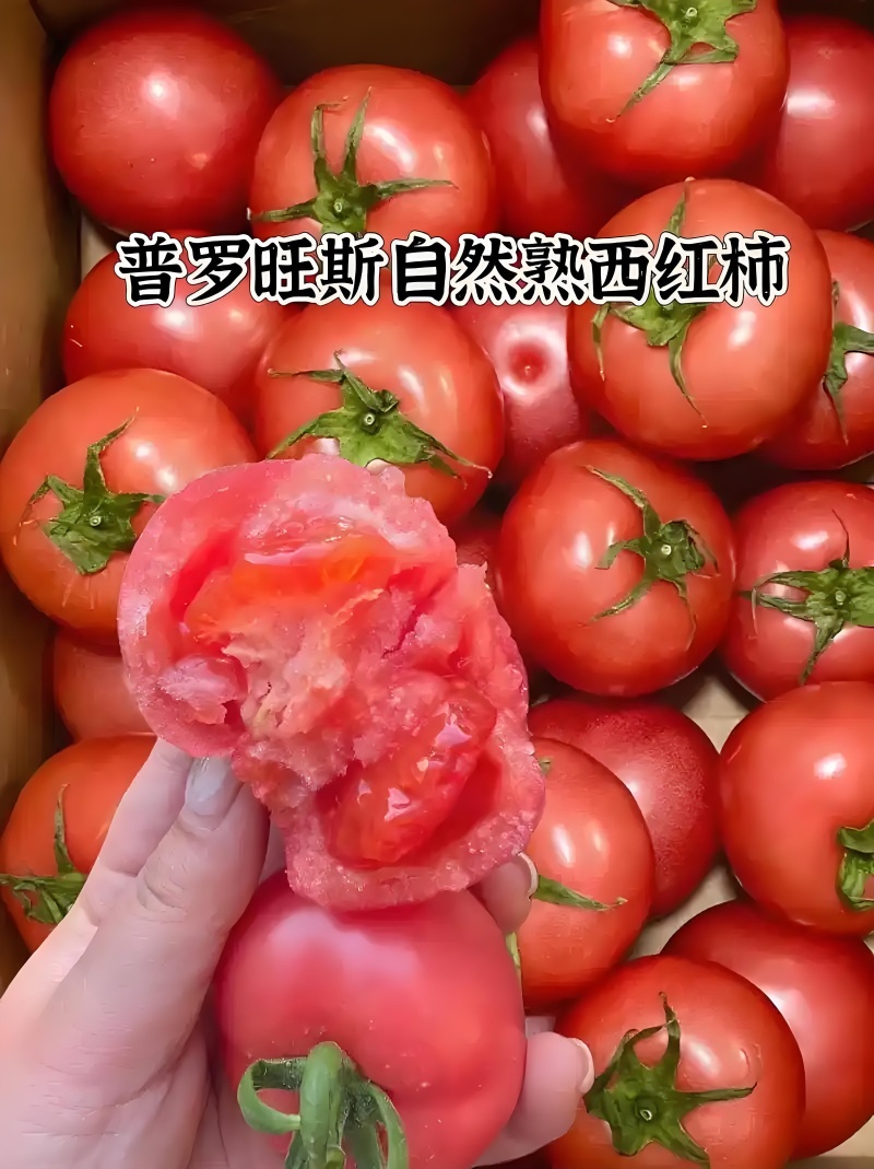 大荔县本地的普罗旺斯西红柿，水果西红柿，全沙口！