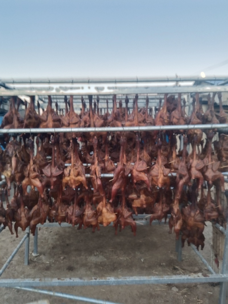 风干鸭