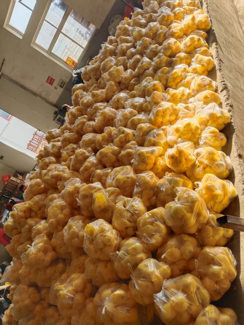 精品维纳斯苹果大量上市全国供应对接各大商超市场欢迎选购