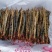 纯野生蜈蚣皮子专营店