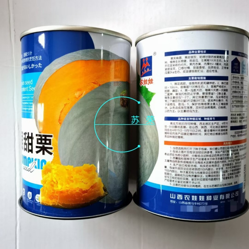 银甜栗南瓜种子肉质口感佳香郁适应性糯甜面强品质紧密甘坚实