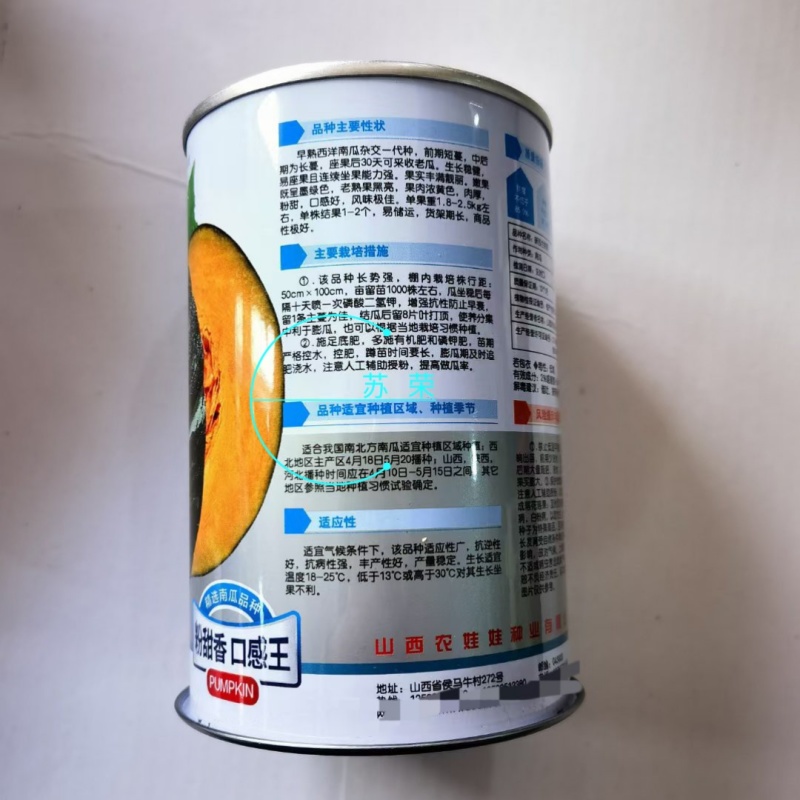 新西兰甜栗南瓜种子扁圆型高产杂交黑贝贝种籽孑果肉金黄肉厚