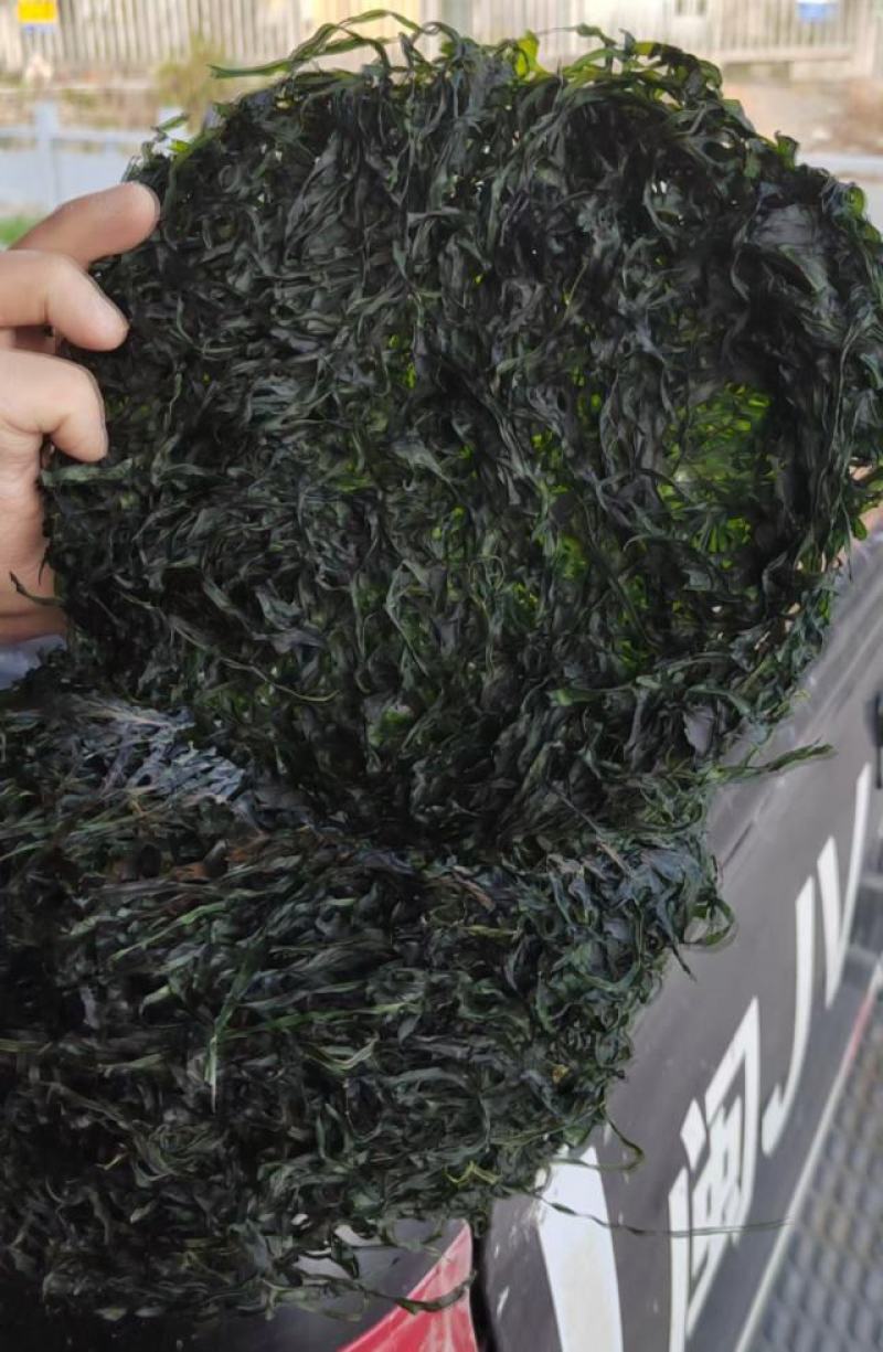 海带丝烘干海带丝压缩海带丝免洗海带丝干海带丝产地直接发货