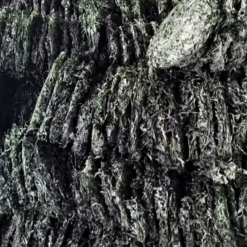 海带丝烘干海带丝压缩海带丝免洗海带丝干海带丝产地直接发货