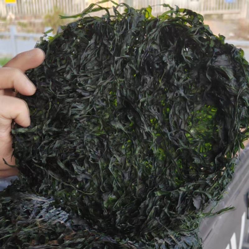 海带丝烘干海带丝压缩海带丝免洗海带丝干海带丝产地直接发货