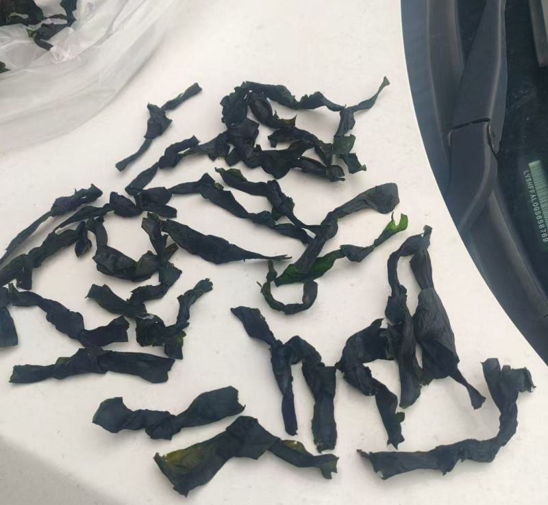 海带结烘干海带结免洗海带结压缩海带结产地直接发货