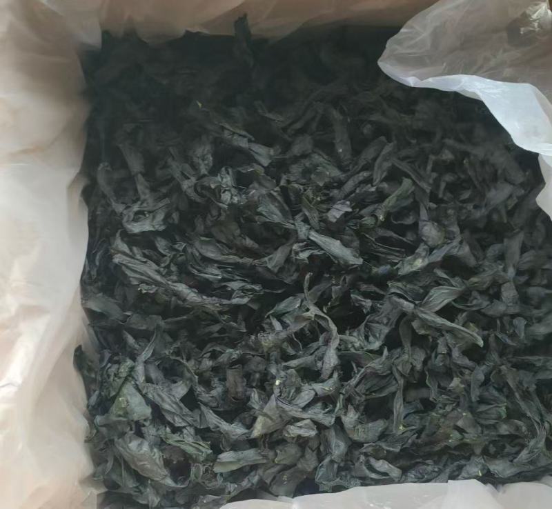 海带结烘干海带结免洗海带结压缩海带结产地直接发货