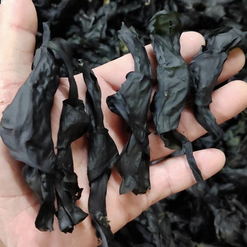海带结烘干海带结免洗海带结压缩海带结产地直接发货