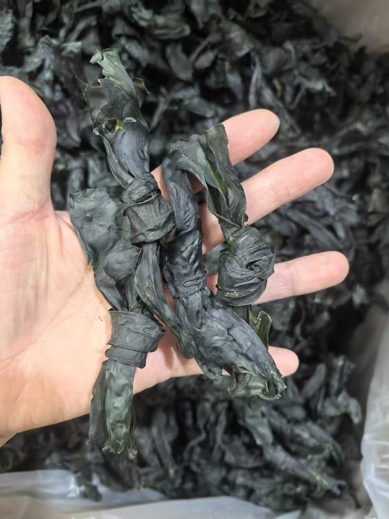 海带结烘干海带结免洗海带结压缩海带结产地直接发货