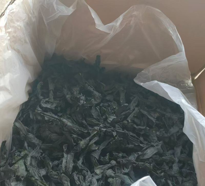 海带结烘干海带结免洗海带结压缩海带结产地直接发货
