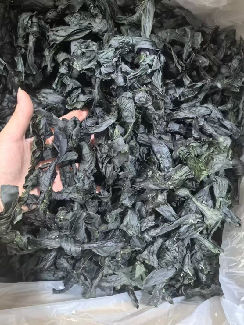 海带结烘干海带结免洗海带结压缩海带结产地直接发货