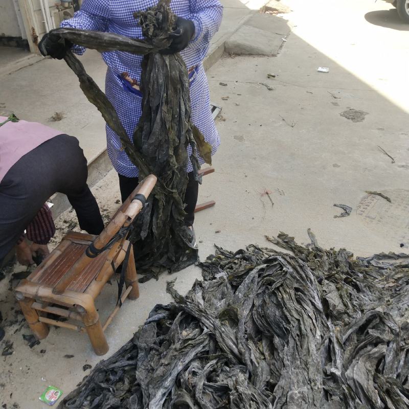 海带干海带海带皮海带干挂菜海带无沙海带养殖场直接供货