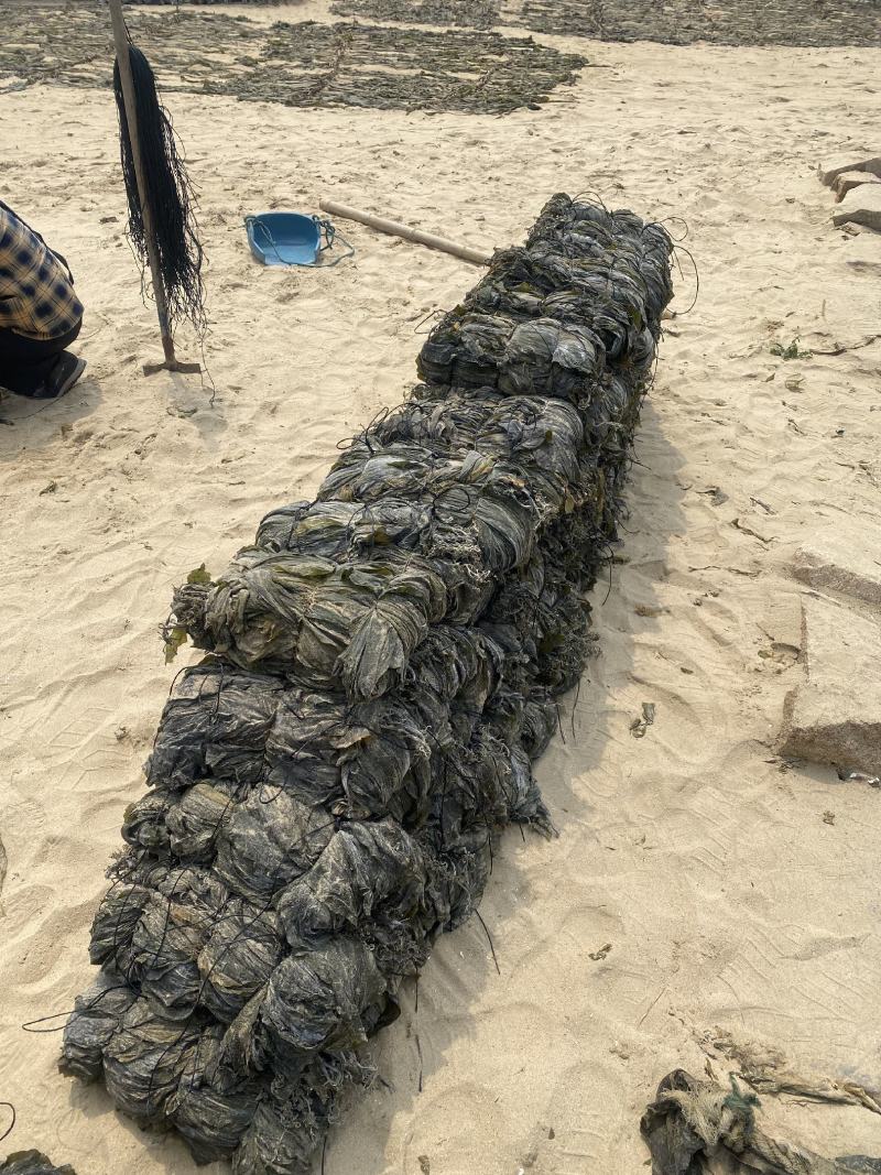 海带干海带海带干日晒海带福建海带无沙海带挂菜产地直接发货