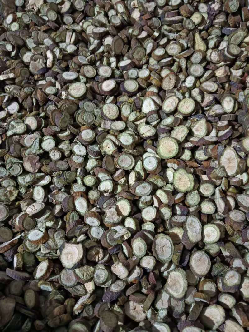 寄生多个寄生现货供应实物实拍批发各种中药材
