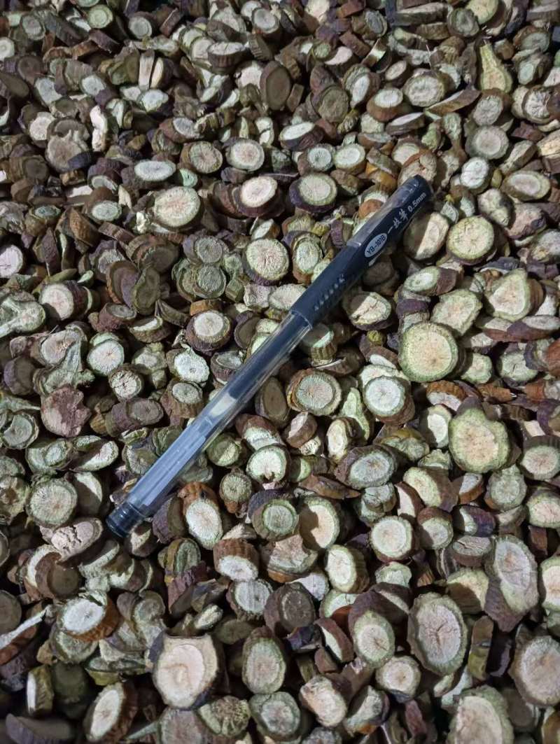 寄生多个寄生现货供应实物实拍批发各种中药材